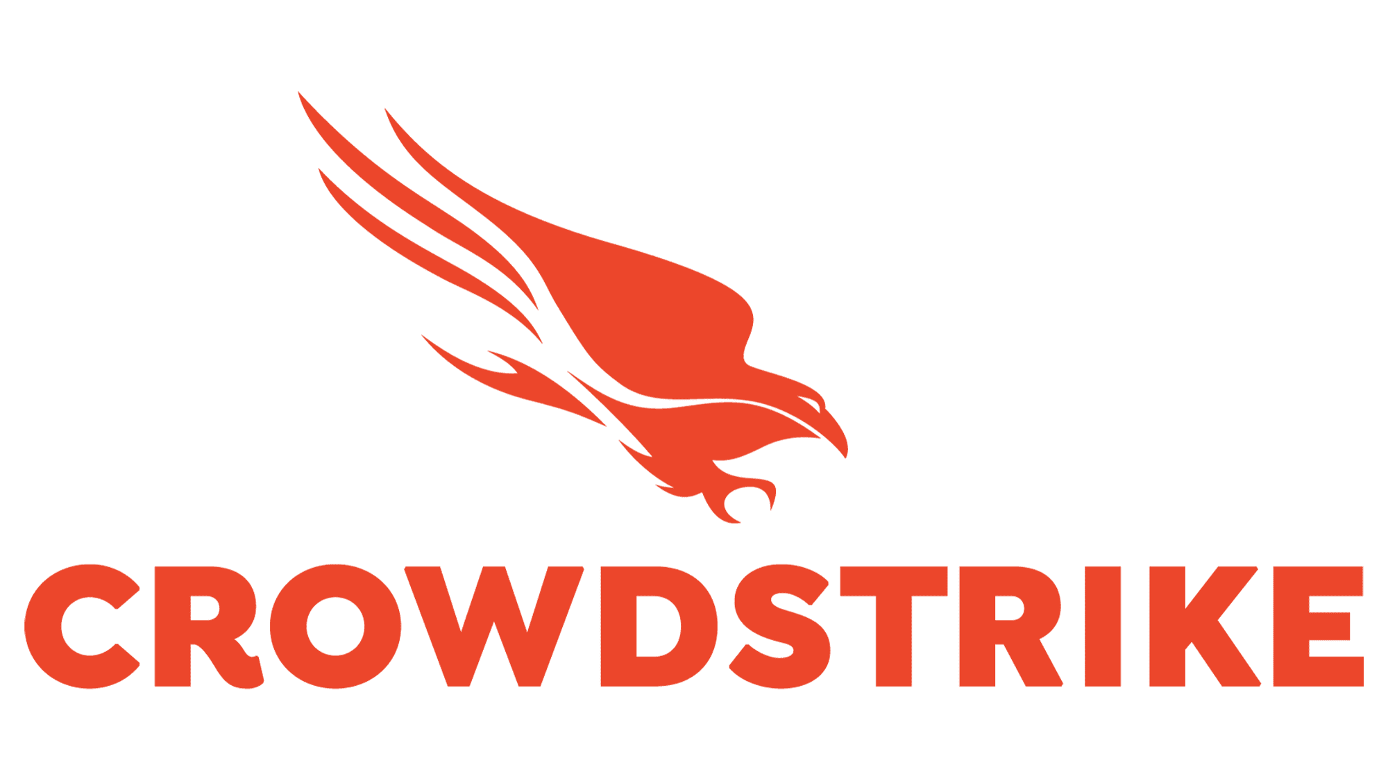 Rolle IT is a Crowdstrike Partner